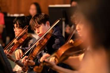 violins playing