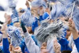 Cheering Fans