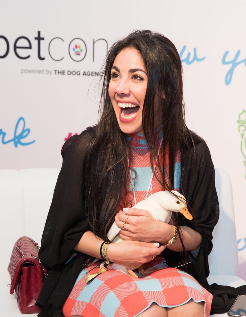 A doggone good job - Andover