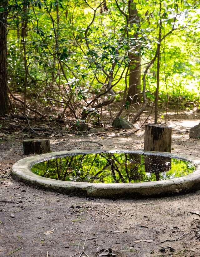 Secret Garden circa 1950