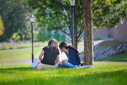 Two students sit under a tree and review their work