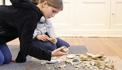 A Student Examining Bones