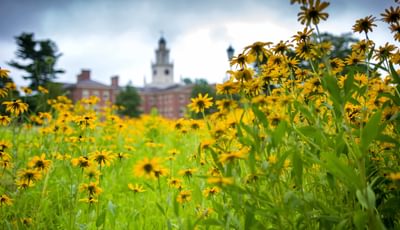 flowers in front of building