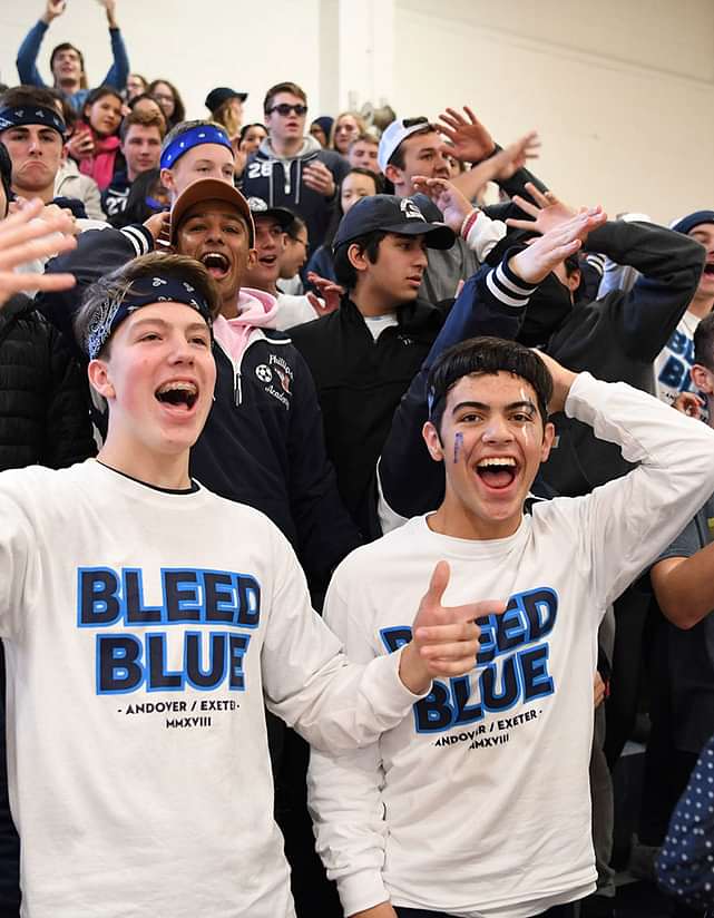 Cheering Fans