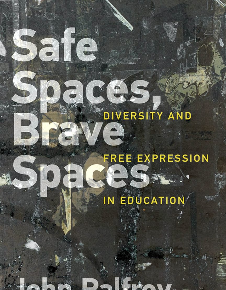 Safe Spaces Brave Spaces Book Cover