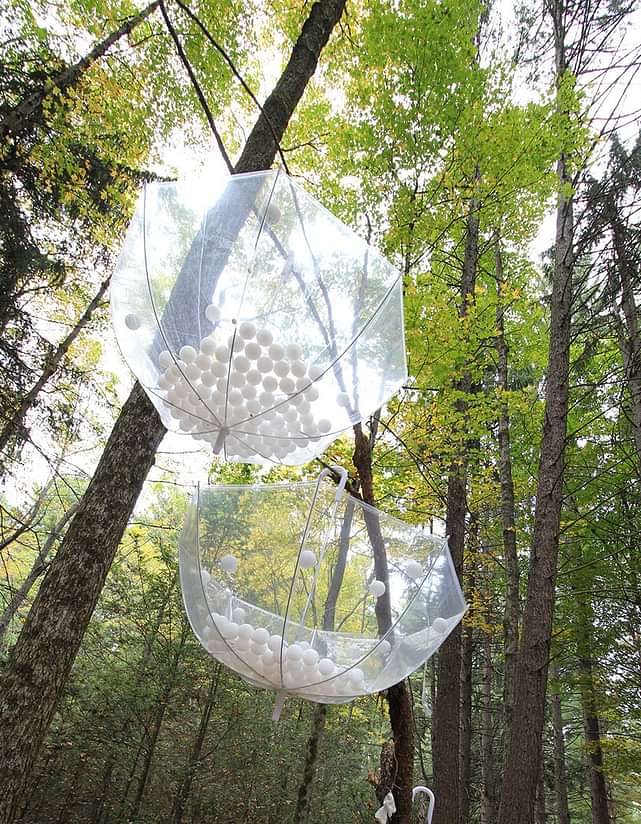 Umbrellas hanging from trees