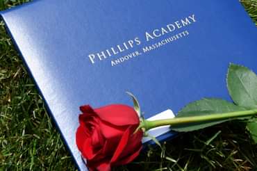 Diploma and rose